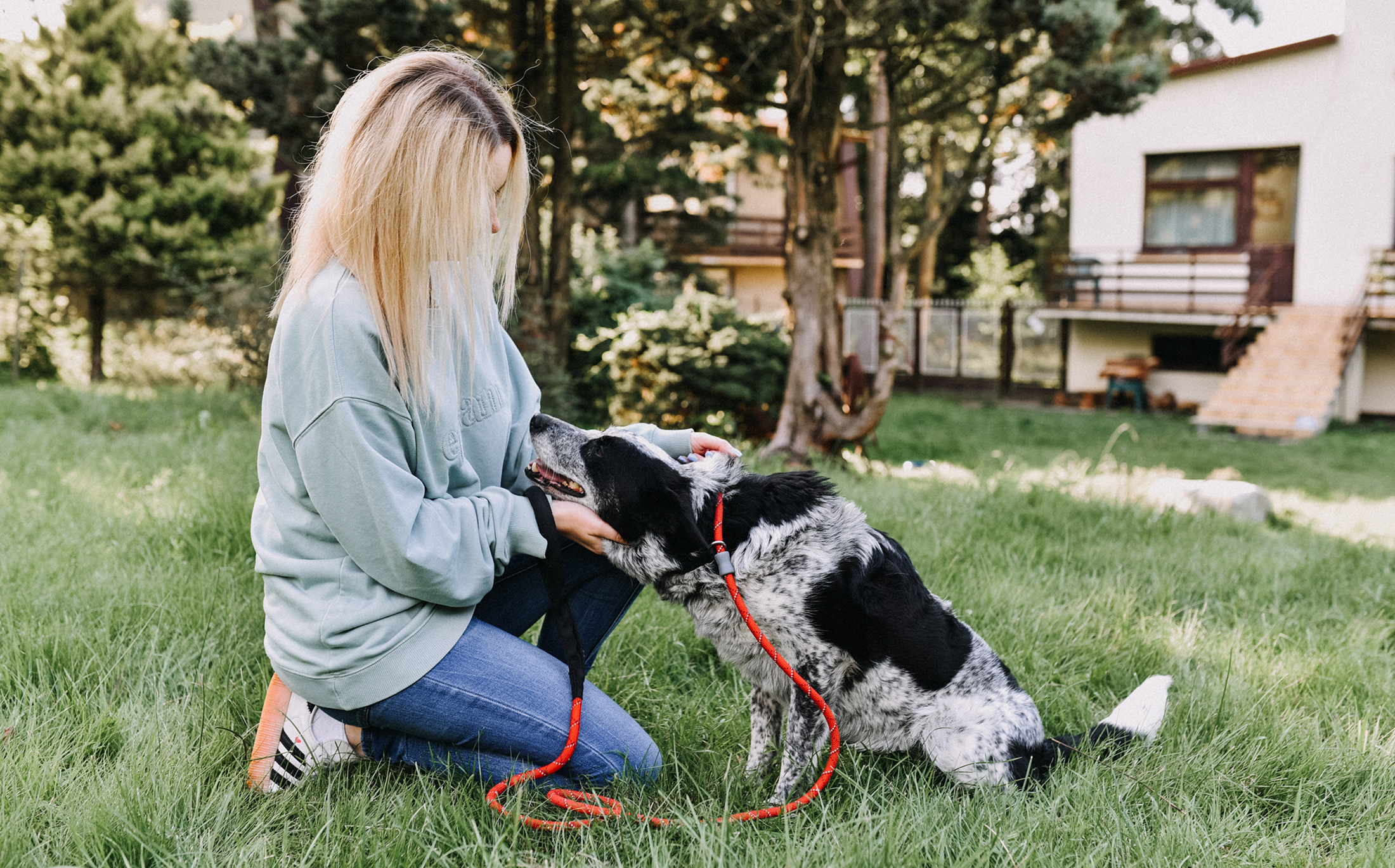 Happy end – pies znalazł dom