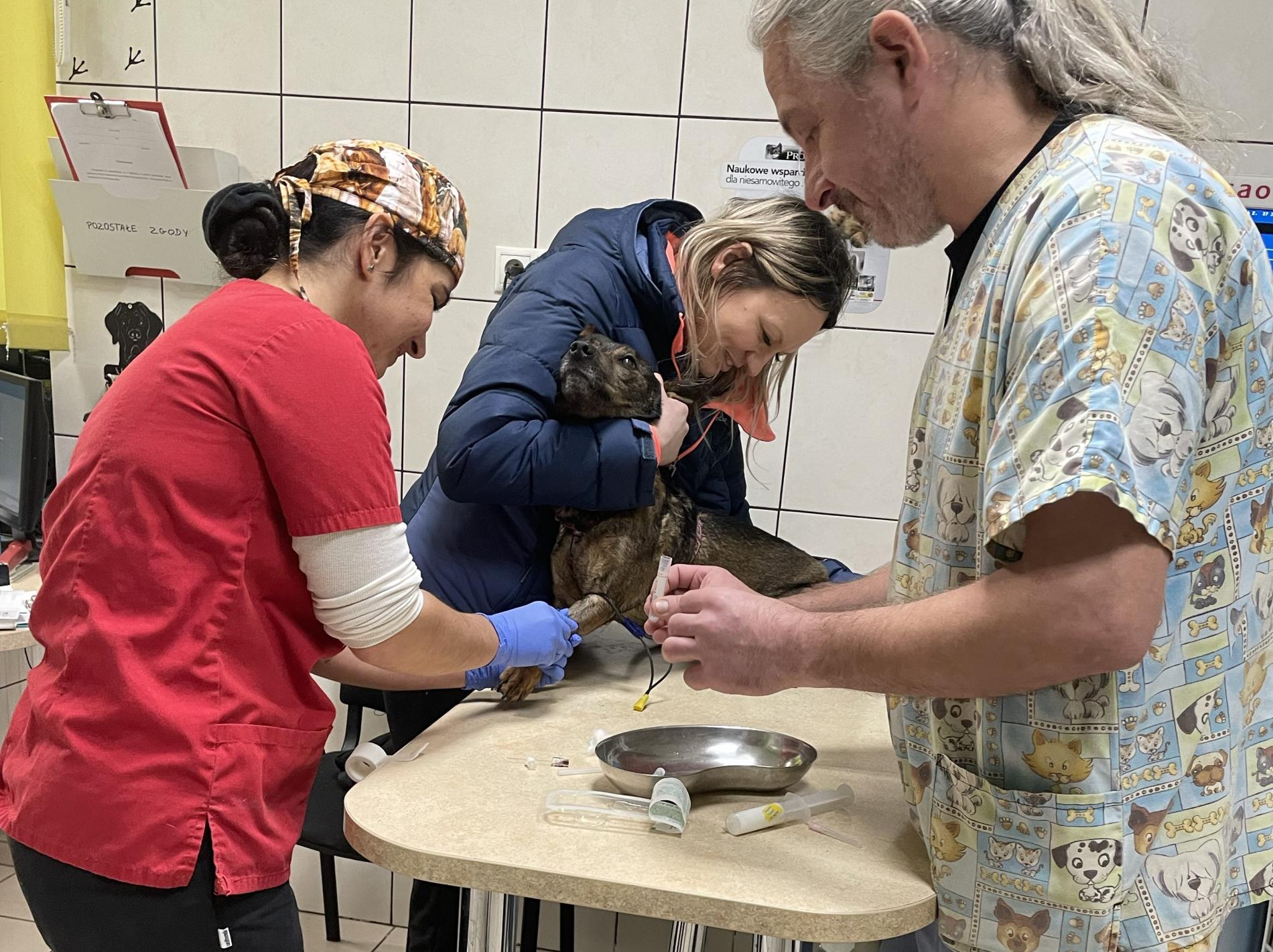 Opieka weterynaryjna