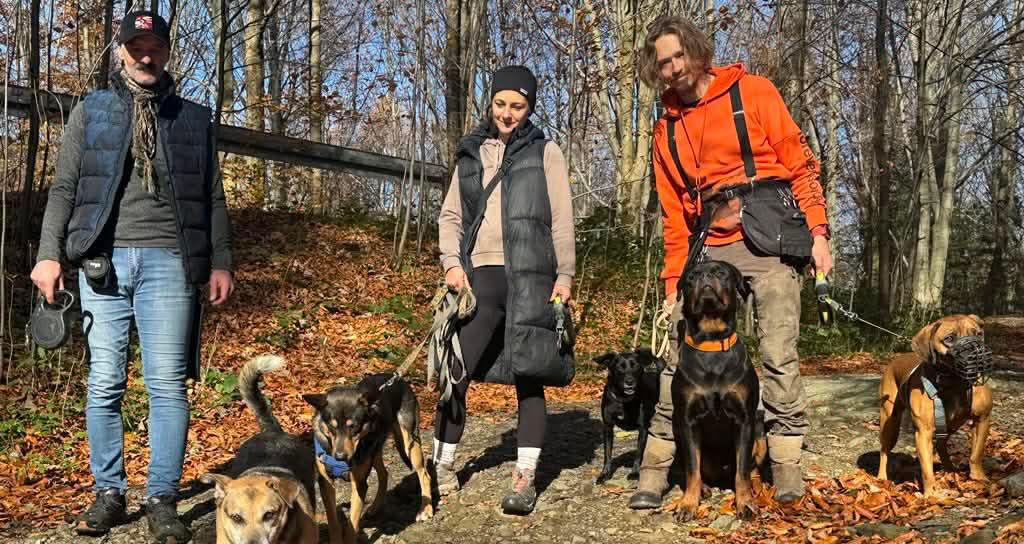 Wolontariusze Psiej HAU-py